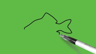 Soyut yeşil arkaplanda siyah çizgili mavi renkli sazan balığı kombinasyonu çiz