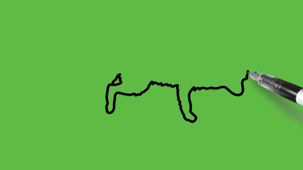 Rysuj Lisa Lub Lisa Nazwie Dziki Pies Niebieskim Kolorze Kombinacji — Wideo stockowe