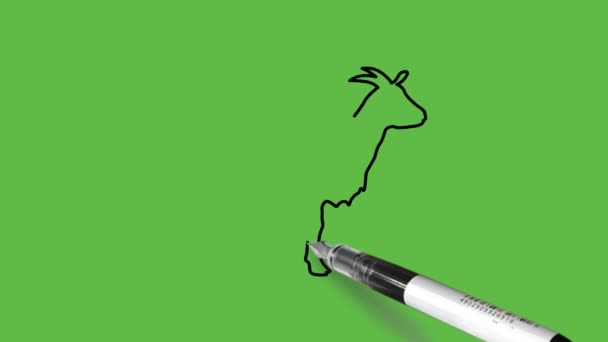 Desenhar Cabra Macho Chamado Fanfarrão Combinação Cor Azul Com Contorno — Vídeo de Stock