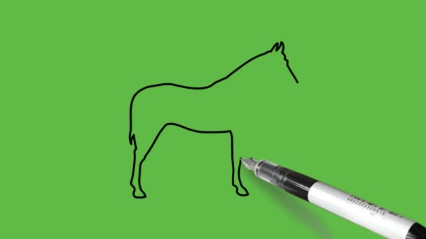 Kreslit Koně Nebo Koňovité Stojící Světle Tmavě Hnědé Šedé Bílé — Stock video