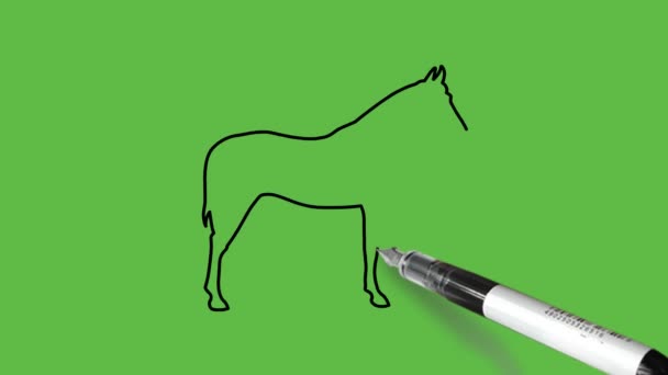 Narysuj Konia Lub Konia Stojącego Niebieskim Kolorze Połączeniu Czarnym Zarysem — Wideo stockowe