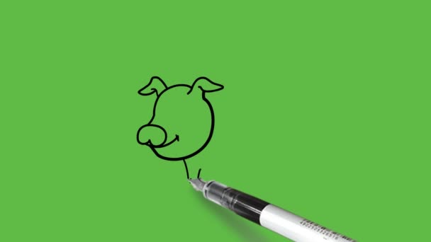 Dibujar Animal Cerdo Dibujos Animados Con Cuerpo Redondo Combinación Color — Vídeo de stock