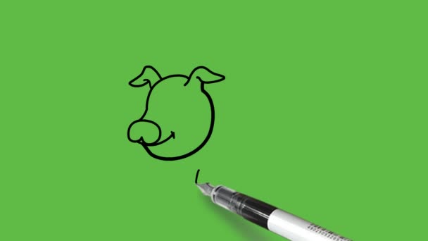 Dibujar Animal Cerdo Dibujos Animados Con Cuerpo Redondo Combinación Color — Vídeos de Stock