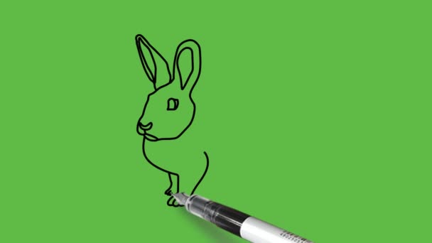 Нарисуйте Кролика Животное Сидя Светло Коричневом Цвете Комбинации Черным Контуром — стоковое видео