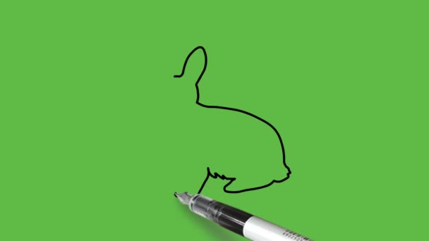 Desenhe Coelho Coelho Mamífero Animal Sentado Combinação Cor Marrom Claro — Vídeo de Stock