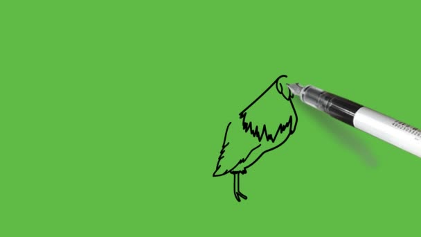 Малювати Півень Пташеня Чоловік Або Птах Півень Сидячи Поєднанні Синього — стокове відео
