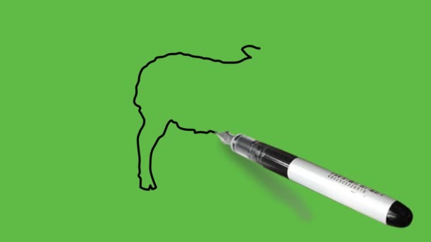 Нарисуйте Животное Овцы Светло Коричневый Цвет Сочетание Черным Контуром Абстрактном — стоковое видео
