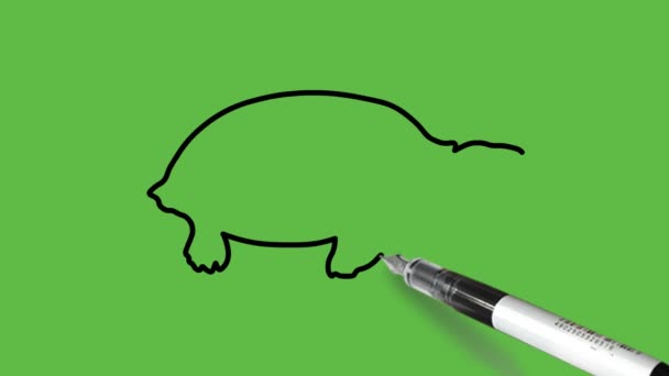 Нарисуйте Черепаху Рептилий Светло Коричневом Зеленом Цвете Комбинации Пятнистыми Жесткими — стоковое видео