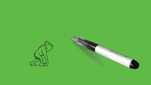 Zeichnen Menschliche Evolution Affen Verschiedener Stadien Des Menschlichen Lebens Beginnen — Stockvideo