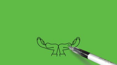 İnsan elini iki avucunun arasına al ve soyut yeşil ekran arkaplanındaki siyah çizgilerle dünyayı yakala.   