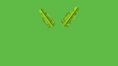 Çembersel tasarım ile yeşil ekran arkaplanında birkaç farklı boyutta yeşil yaprak ile birlikte beyaz çiçek çiz