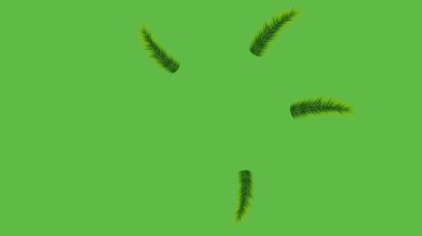 Beş sarı çiçek seti çizin. Beyaz çiçek, daire, yıldız ve yeşil yaprak ile süsleyin.