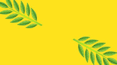 draw unique red flower decorate with green leaf in rectangle shape on yellow screen background