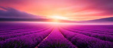 A breathtaking view of a lavender field at sunset with vibrant purple hues and a serene horizon, capturing the essence of nature's beauty and tranquility in a stunning landscape. clipart