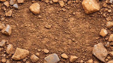 Brown soil with rocks scattered around surface. clipart