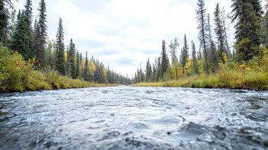 Calm river flowing through a forest landscape, featuring serene water and lush trees under a cloudy sky. clipart