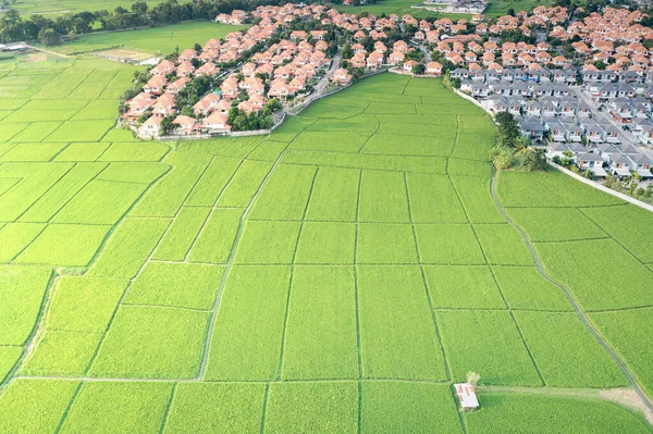 Земля Ландшафт Зеленого Поля Воздушном Виде Включите Сельское Хозяйство Строительство — стоковое фото