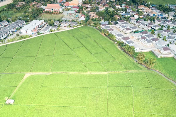 Land, landscape of green field in aerial view. Include agriculture farm, house building, village. That real estate or property. Plot of land to housing subdivision, development, sale or investment.