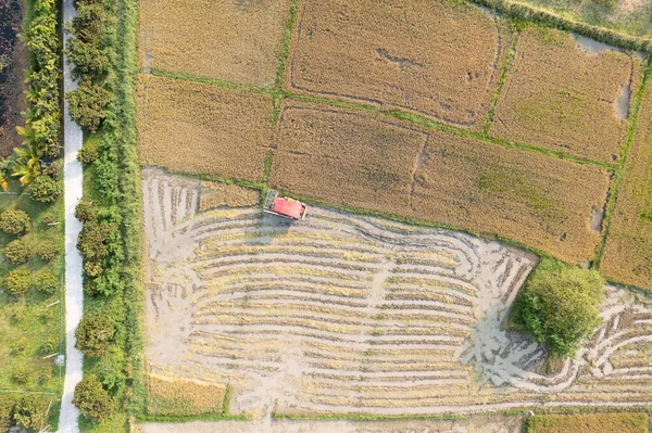 将稻田作业的收割机与航景或顶景相结合 泰国清迈农村的农业农场 土地和景观 用机械或设备收割食物 — 图库照片