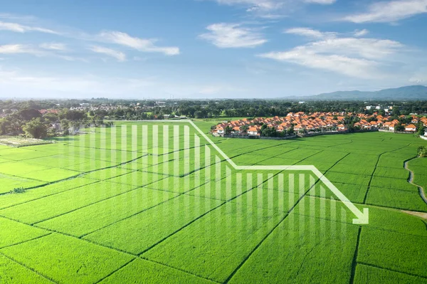 Земля Пейзаж Або Зелене Поле Повітрі Включити Будівлю Будинку Діаграму — стокове фото