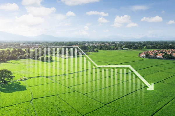 Land Landscape Green Field Aerial View Include Bar Chart Graph — Stock Photo, Image