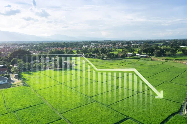 Land Landschaft Oder Grünes Feld Der Luftaufnahme Balkendiagramm Oder Diagramm — Stockfoto