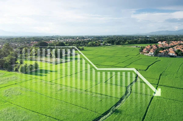 Land, landscape or green field in aerial view. Include house building, bar chart or graph, drop down arrow. Real estate or property with concept for sale price, land value to decrease, reduction, low.