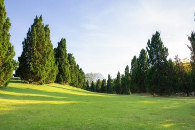 Manzara, yeşil park ya da açık havada mavi gökyüzü ve bulutlu arka plan. Toprak, çimen, çimen, sıra sıra bitki ve ağaç gibi boş alanları da kapsar. Şehir, tatil köyü, otel, okul, havaalanı için doğal bölge.