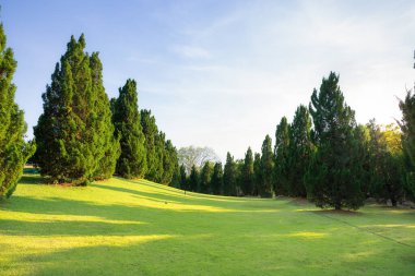 Manzara, yeşil park ya da açık havada mavi gökyüzü ve bulutlu arka plan. Toprak, çimen, çimen, sıra sıra bitki ve ağaç gibi boş alanları da kapsar. Şehir, tatil köyü, otel, okul, havaalanı için doğal bölge.