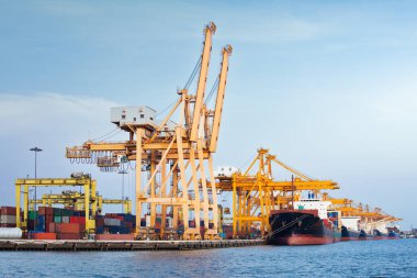 Büyük bir vinç ve kargo gemisi kargo konteynırı ve Tayland 'ın Bangkok limanına yanaşmış. Ticari taşımacılık, lojistik, uluslararası küresel ticaret, nakliye, ithalat sanayii.