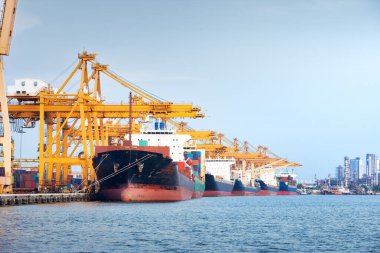 Büyük bir vinç ve kargo gemisi kargo konteynırı ve Tayland 'ın Bangkok limanına yanaşmış. Ticari taşımacılık, lojistik, uluslararası küresel ticaret, nakliye, ithalat sanayii.