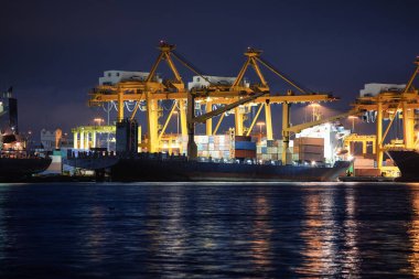 Büyük bir vinç ve kargo gemisi kargo konteynırı ve Tayland 'ın Bangkok limanına yanaşmış. Ticari taşımacılık, lojistik, uluslararası küresel ticaret, nakliye, ithalat sanayii.