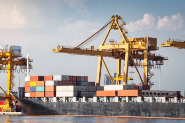 Büyük bir vinç ve kargo gemisi kargo konteynırı ve Tayland 'ın Bangkok limanına yanaşmış. Ticari taşımacılık, lojistik, uluslararası küresel ticaret, nakliye, ithalat sanayii.