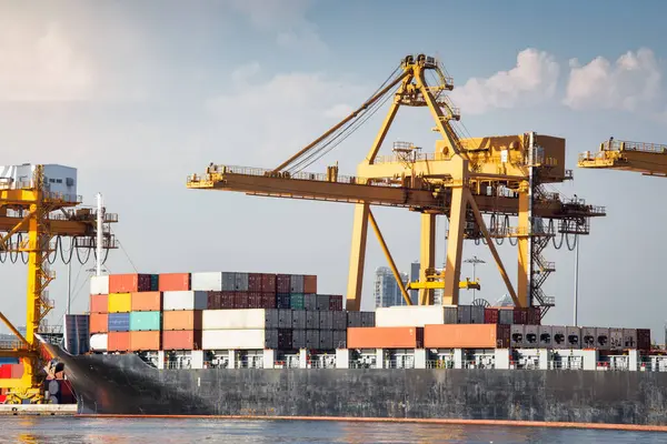 Büyük bir vinç ve kargo gemisi kargo konteynırı ve Tayland 'ın Bangkok limanına yanaşmış. Ticari taşımacılık, lojistik, uluslararası küresel ticaret, nakliye, ithalat sanayii.