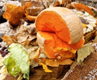 Vegetables, egg shell, cafe filter, rooten food, ugly food. organic food waste. Zero waste concept, organic recycling, ecological composting of food and garden waste. Gardening, agriculture.