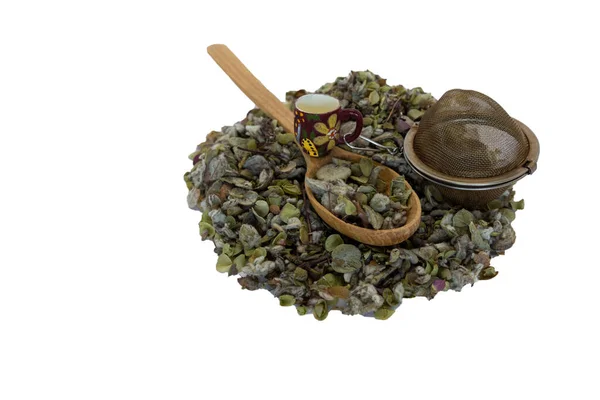 Origanum Dictamnus Dittany Crete Tea Wooden Spoon Tea Strainers Mesh — Foto Stock