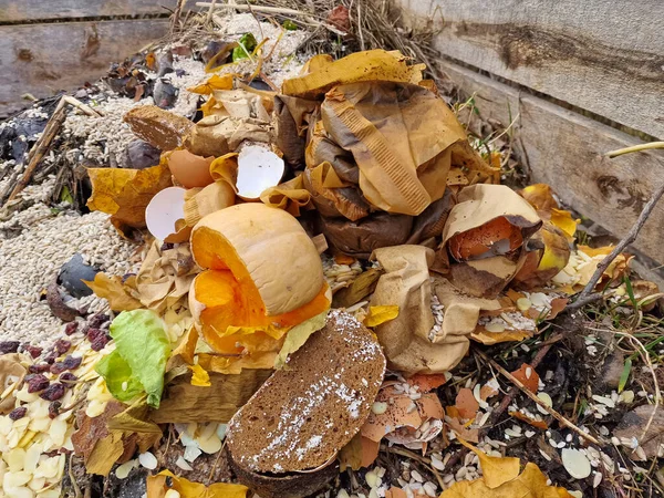 Wooden Compost Bin Organic Food Waste Zero Waste Concept Organic — Stock Photo, Image