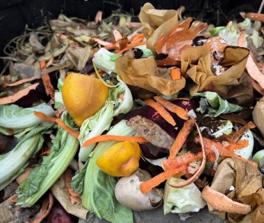 Organik Atık, Kompost ve Sıfır Atık Sürdürülebilir Yaşam Yolu