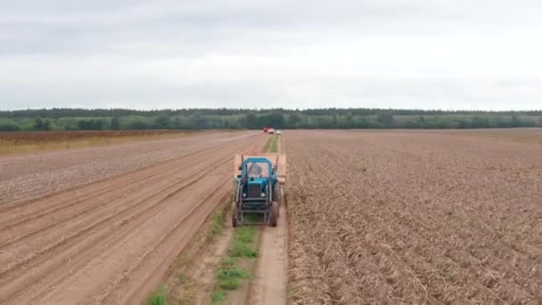 Modrý Traktor Nese Brambory Období Sklizně Polí Farmář Nese Brambory — Stock video