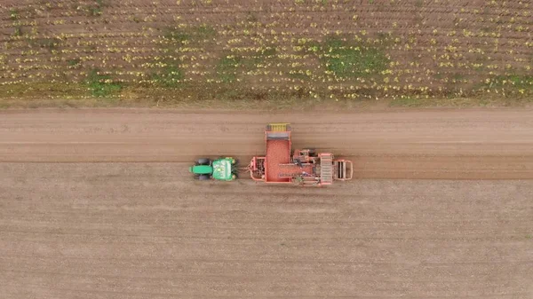 Macchine Agricole Raccolta Delle Patate Campo Coltivatore Con Una Coltura — Foto Stock