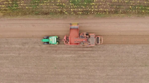 Máquinas Agrícolas Colhendo Batatas Campo Agricultores Com Uma Cultura Batata — Fotografia de Stock