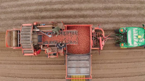 收获马铃薯的农业机械 种植土豆的农民田里 聪明的耕作 一辆拖车上装有收获机的拖拉机驶过农村田野 4K空中图像 — 图库照片