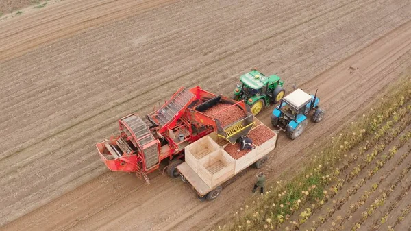 Patates Hasat Eden Çiftlik Makineleri Patates Hasadı Olan Çiftçi Tarlası — Stok fotoğraf