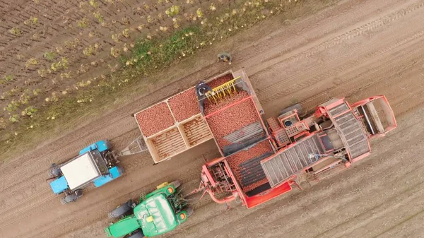 Maquinaria Agrícola Cosechando Patatas Campo Agricultores Con Cultivo Patata Una —  Fotos de Stock