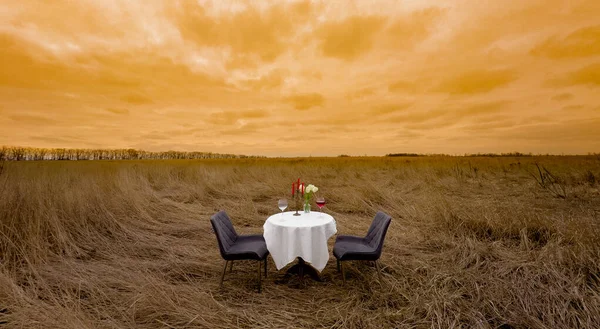 自然の中でロマンチックなデート 野のレストランで野生のディナー 白いテーブルクロス ワインのグラス 花やろうそくとテーブル 人のいない — ストック写真