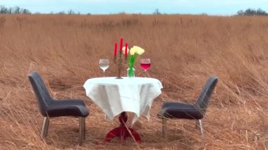 Doğada romantik bir randevu. Sahada restoran. Vahşi doğada akşam yemeği. Beyaz masa örtüsü, sandalyeler, şarap bardakları, çiçekler ve mumlar. insanlar olmadan 4k video