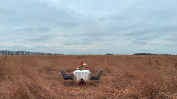 Романтичне Побачення Природі Ресторан Полі Вечеря Дикій Природі Стіл Білою — стокове відео