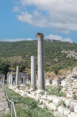 Türkiye 'deki Efes (Efes veya Ephesos) antik harabeleri. Efes Antik Tiyatrosu, Turizm Seyahat Merkezi.