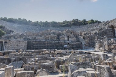 İzmir 'in Selcuk ilçesinde Efes' teki sütunların muhteşem manzarası. Antik Yunan şehrinin manzaralı kalıntıları. Efes, Türkiye 'de popüler bir turizm merkezi..