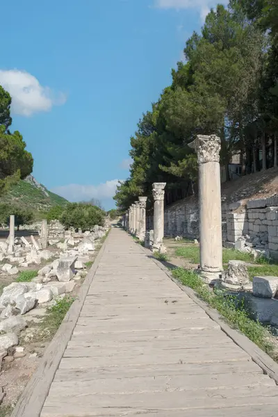 stock image Ancient ruins of Ephesus (Efes or Ephesos) in Turkey. Ephesus antique theatre, tourism travel destination.